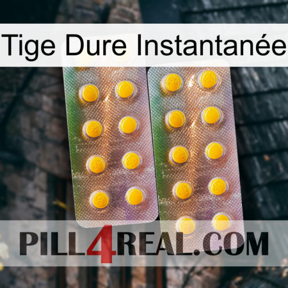 Tige Dure Instantanée new10